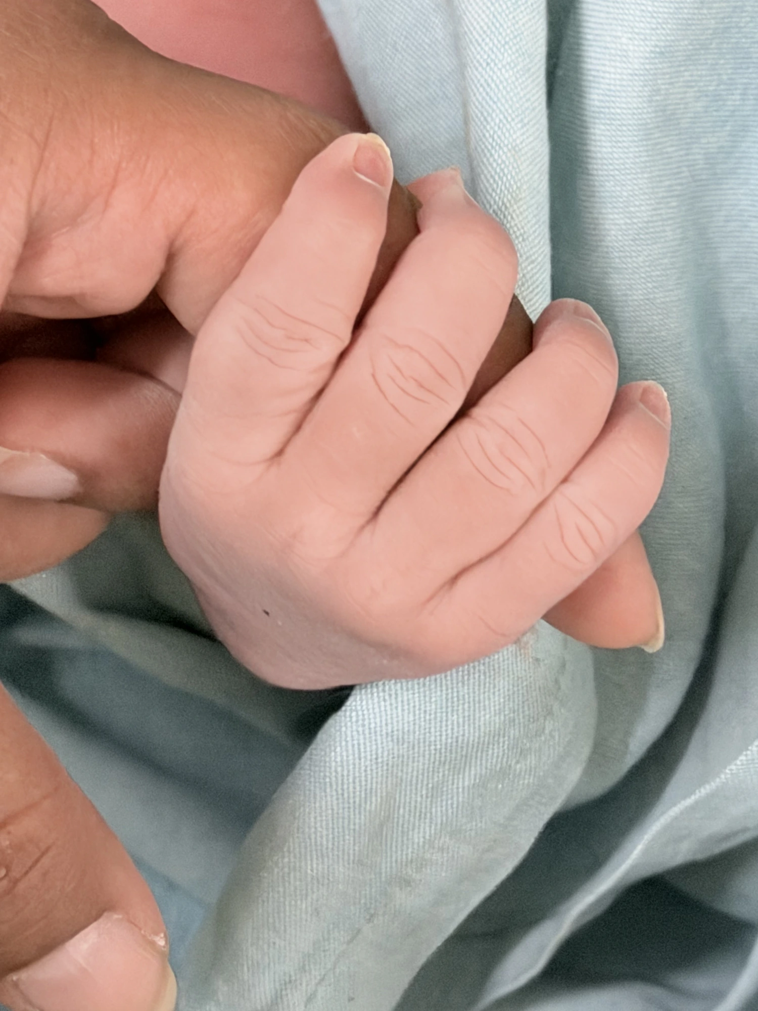 Tiny Hands, New Beginnings