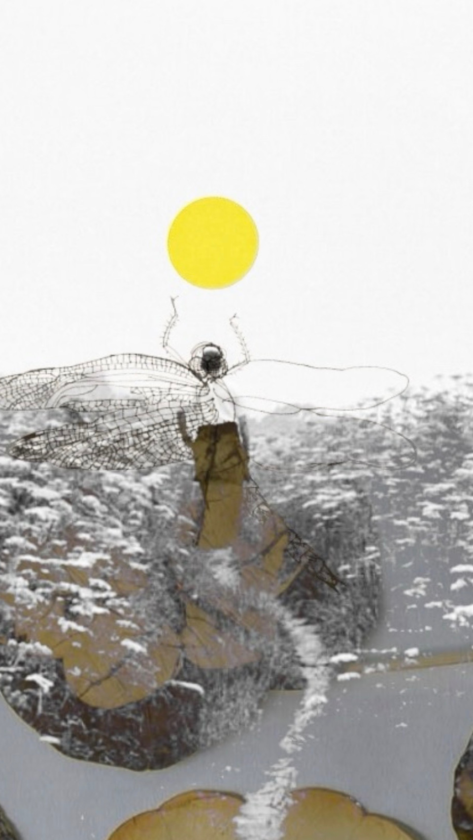 Collage by Sage Canellis — dragonfly beneath a yellow sun