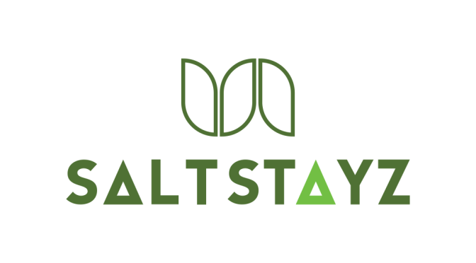 SALT Stayz