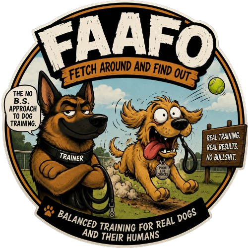FAAFO logo