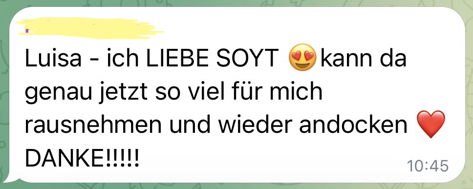 Screenshot aus der SOYT-Runde