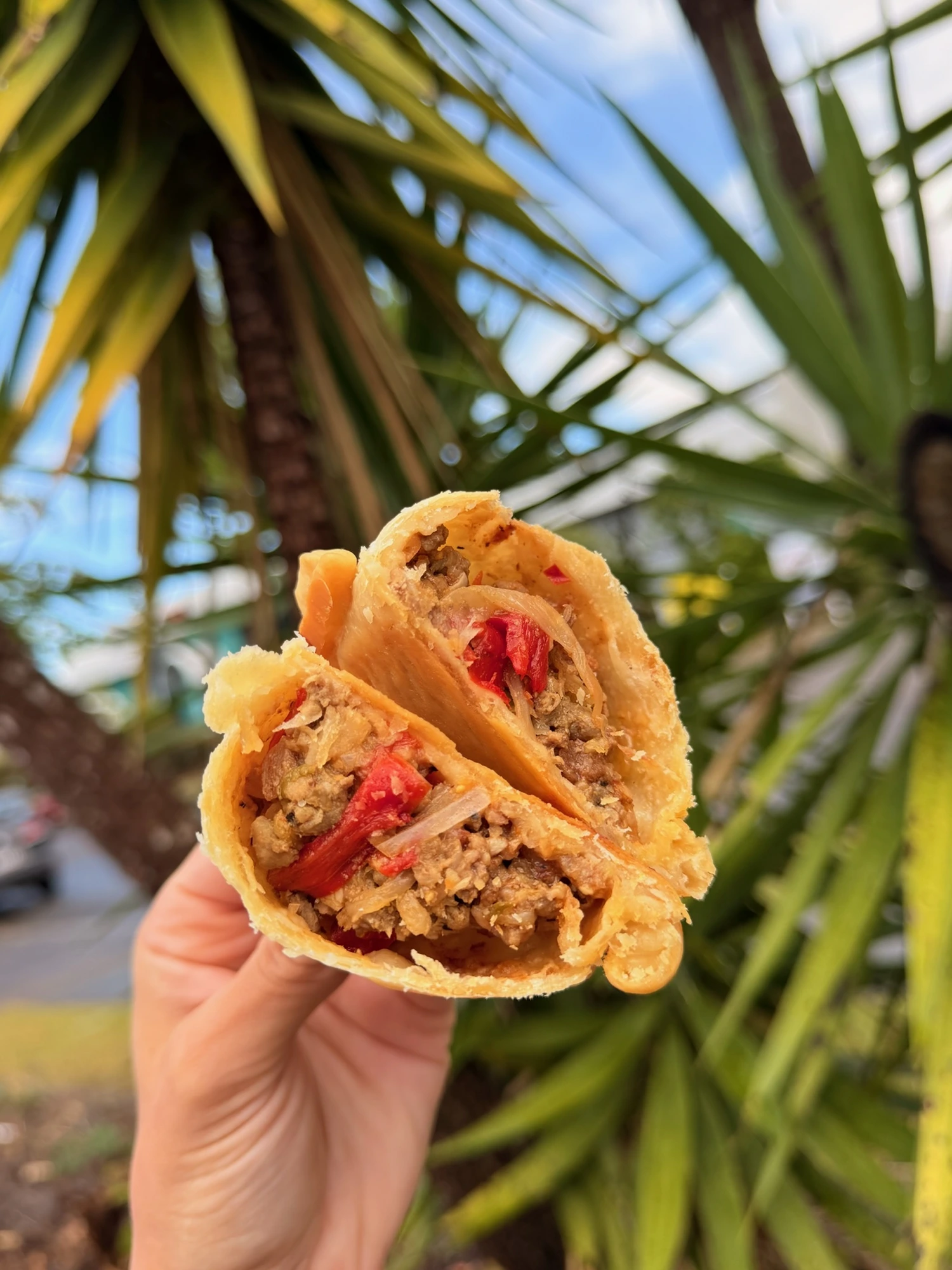 FROZEN BEEF EMPANADAS