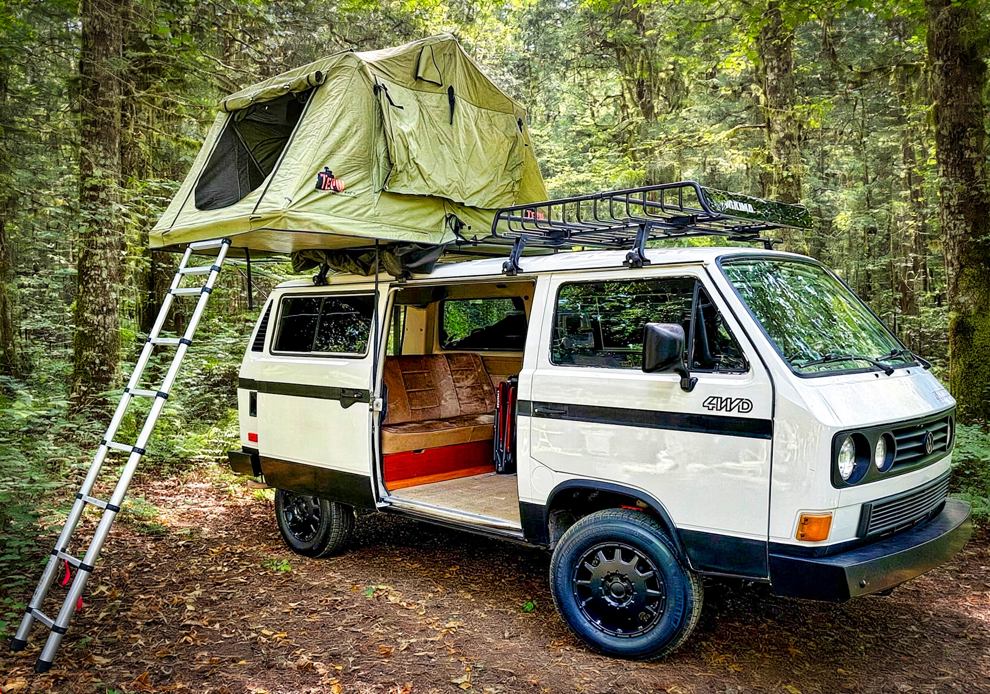 Tent deployed in deep forest, door open
