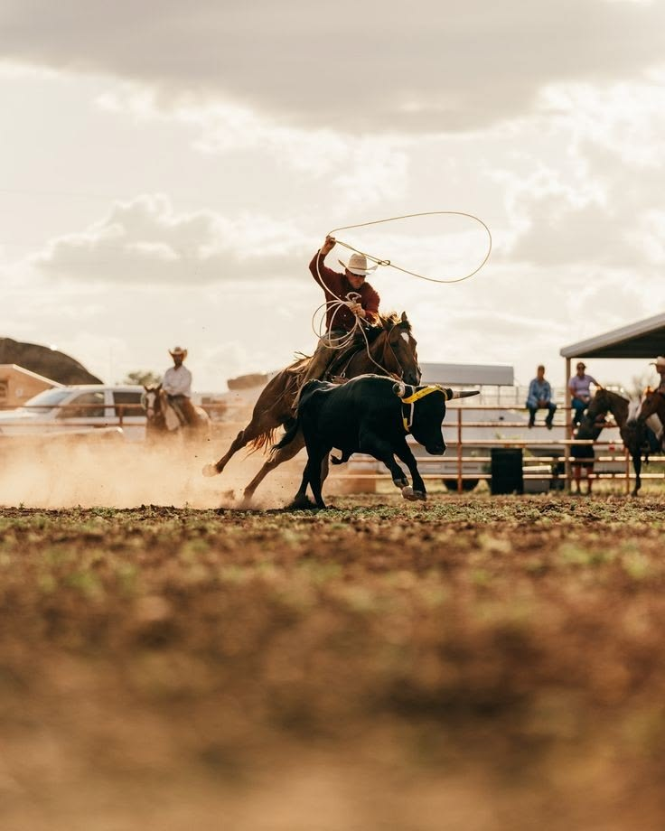 Lazo doble en acción durante el rodeo